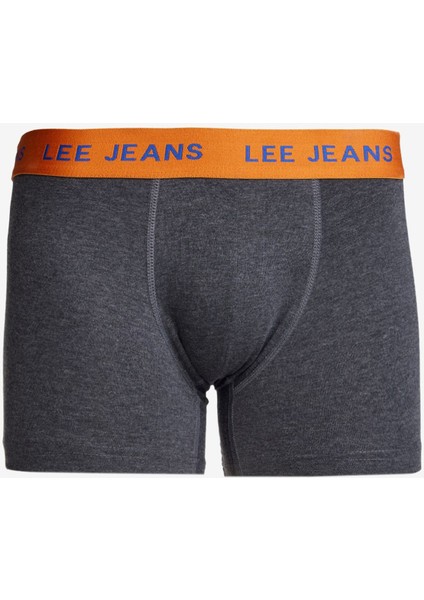 Gri Erkek Boxer L2520377035 Boxer