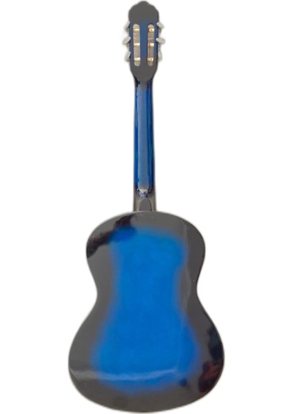 Klasik Gitar (Musıc Station) fiyatları