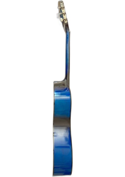 Klasik Gitar (Musıc Station) modelleri