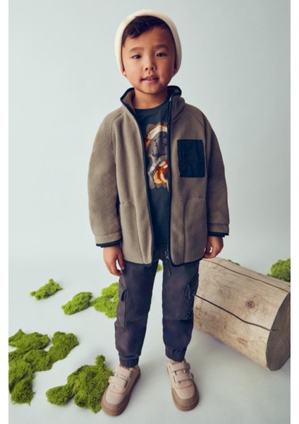 Erkek Çocuk 4-9 Yaş Fermuarlı Polar Ceket Vizon modelleri