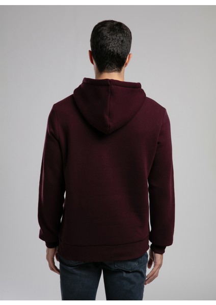 Kapüşon Yaka Mürdüm Erkek Sweatshırt 261 Lcm 241060 Greg Mürdüm fırsatları