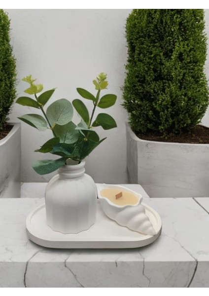 C59 Dekoratif Deniz Kabuğu Figürü Mumluk ve Vazo