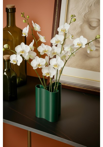 Buşkvazo fiyatları