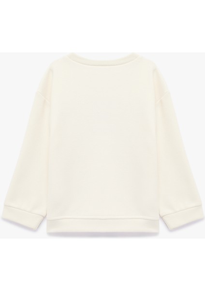 Uzun Kollu Bisiklet Yaka Nakış Detaylı Sweatshirt fiyatları