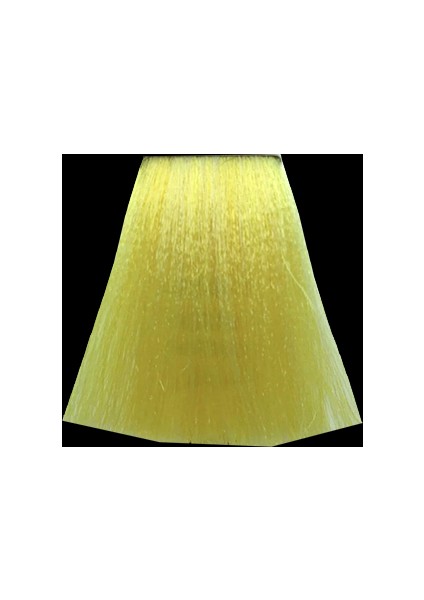 10 Saç Boyası 100ML / Sarı fiyatları