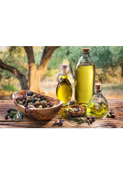 Ayvalık Soğuk Sıkım Natürel Sızma 5 Lt (4800GR) Zeytinyağı fiyatları