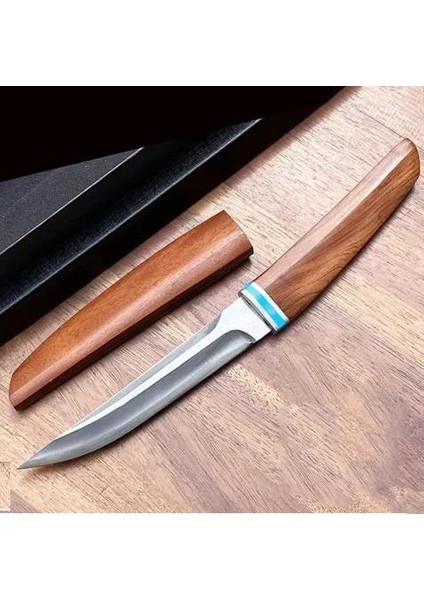 Geleneksel Japon Tarzı Tanto Bıçak modelleri