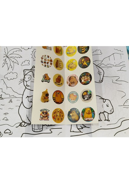 4 Adet Stickerli Boyama Kitabı (Brawlstars,minecraft,roblox,copybara Figürlü) modelleri