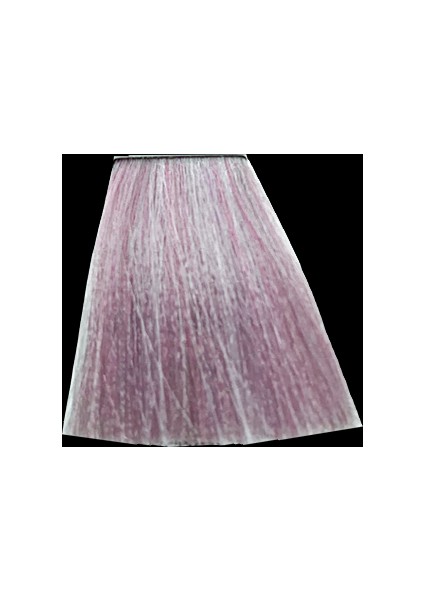 10 Saç Boyası 100ML / Leylak fiyatları