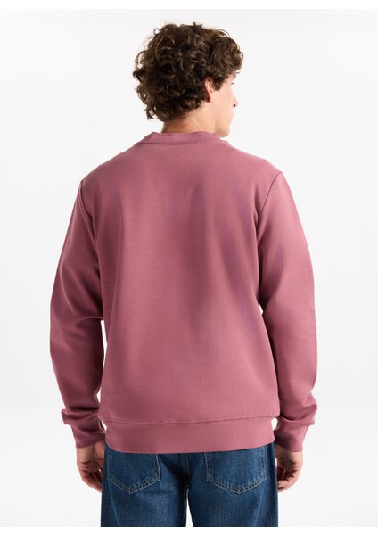 Yuvarlak Yaka Gül Kurusu Erkek Sweatshırt 261 Lcm 241042 Dorres Gül Kurusu indirimleri