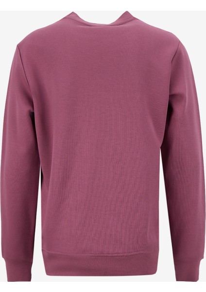 Yuvarlak Yaka Gül Kurusu Erkek Sweatshırt 261 Lcm 241042 Dorres Gül Kurusu