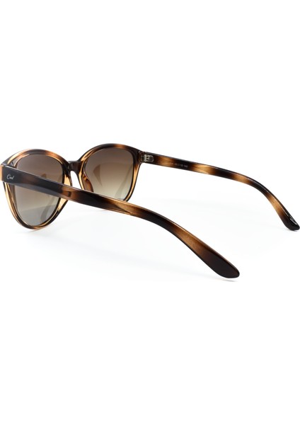 324 C6P 55 indirimleri