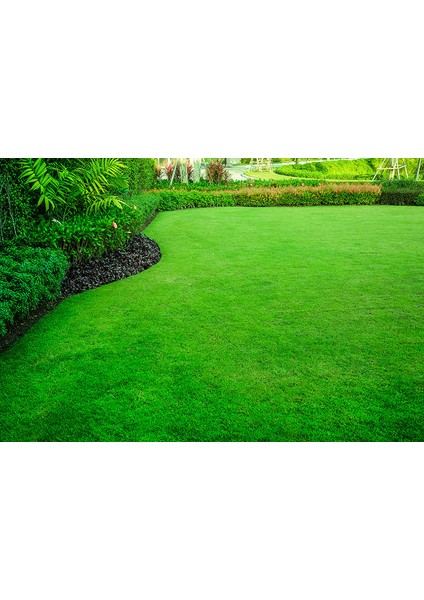 Msa 5 Li Süper Karışim Çim Tohumu 10 kg fiyatları