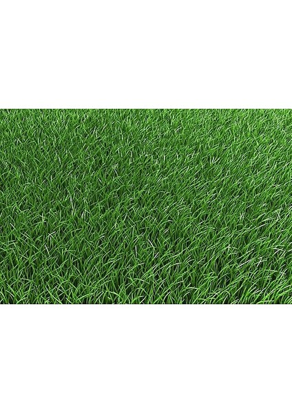 Msa 5 Li Süper Karışim Çim Tohumu 10 kg indirimleri