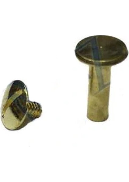 Cilt Menü, Katalog, Kartela Vidası, 13mm - Sarı, 100 Adet