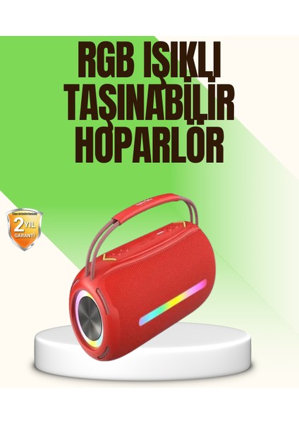 Rgb LED Işıklı 20W Taşınabilir Bluetooth Hoparlör Ipx6 Suya Dayanıklı - M359B995-N06359