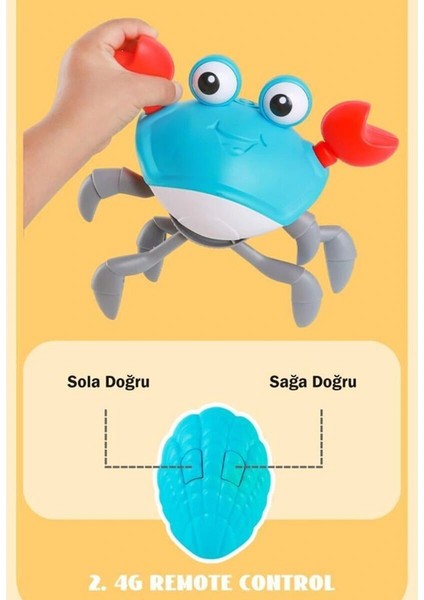 6721E Şarjlı Kumandalı Yengeç modelleri