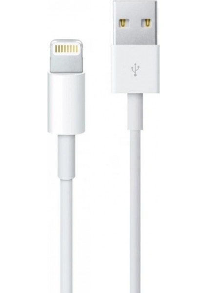 ZR928 Lighting Kablo 2 M