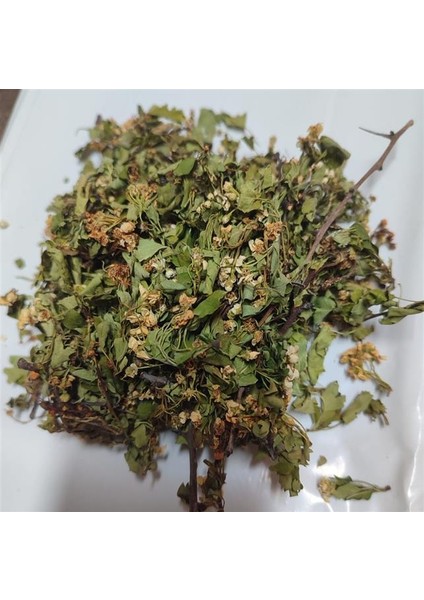 Alıç Yaprağı Çiçekli 2025 Yeni 500 gr