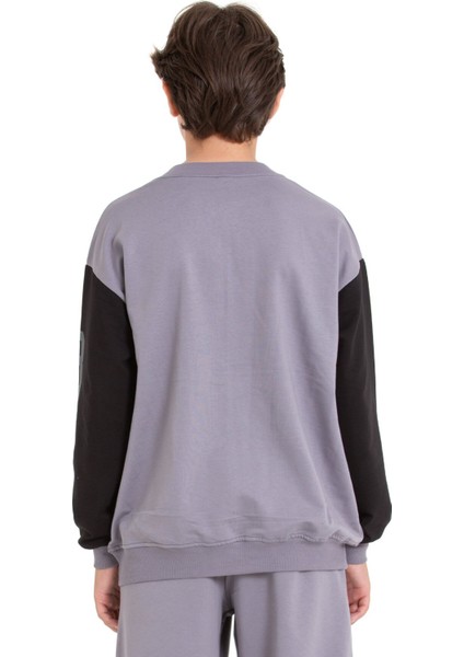 Gri Erkek Çocuk Kolej Hırka 21495 fırsatları