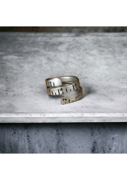 4 Adet 925 Ayar Gümüş Kaplama Ayarlanabilir Erkek Kadın Pençe Tabut Muzura Terzi Zincir Yüzük Seti modelleri