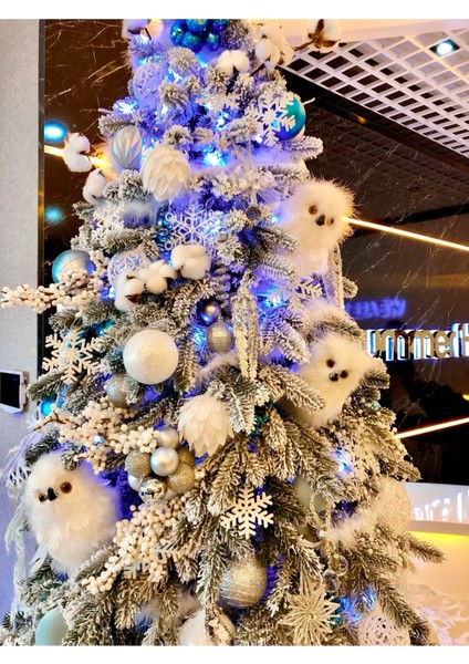 Dekoratif Baykuş fırsatları