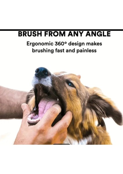 Köpek ve Kedi Parmak Diş Temizleme ve Bakım Fırçası Silikon - Sarı modelleri