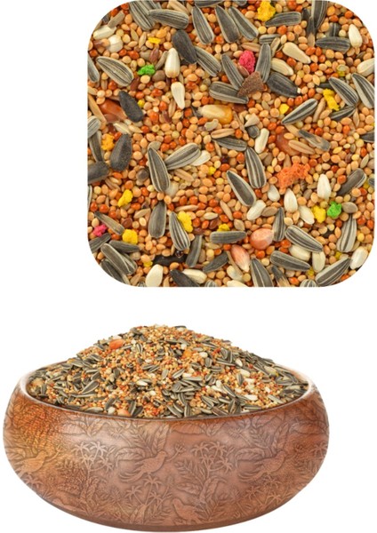 3lü Set Paraket Yemi Yenilenen Formül 750 gr fiyatları