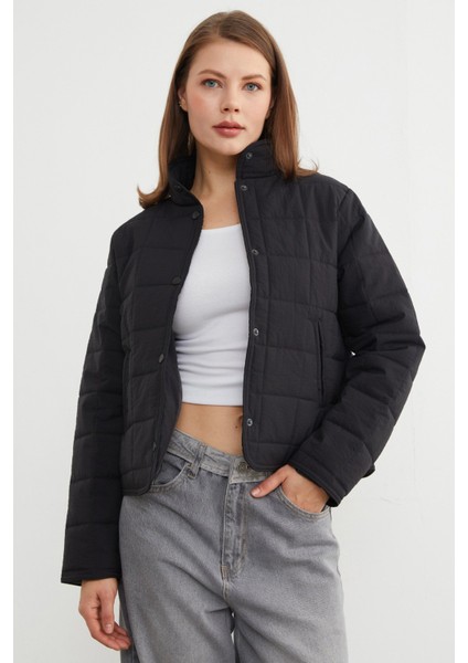 Kare Kapitone Desen Dik Yaka Mont