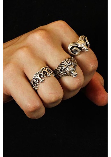 3 Adet 925 Ayar Gümüş Kaplama Ayarlanabilir Tarz Erkek Kadın Yüzük Seti Taç Koç Aslan