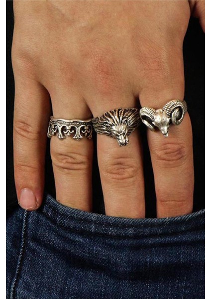 3 Adet 925 Ayar Gümüş Kaplama Ayarlanabilir Tarz Erkek Kadın Yüzük Seti Taç Koç Aslan fiyatları