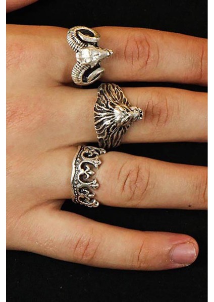 3 Adet 925 Ayar Gümüş Kaplama Ayarlanabilir Tarz Erkek Kadın Yüzük Seti Taç Koç Aslan modelleri