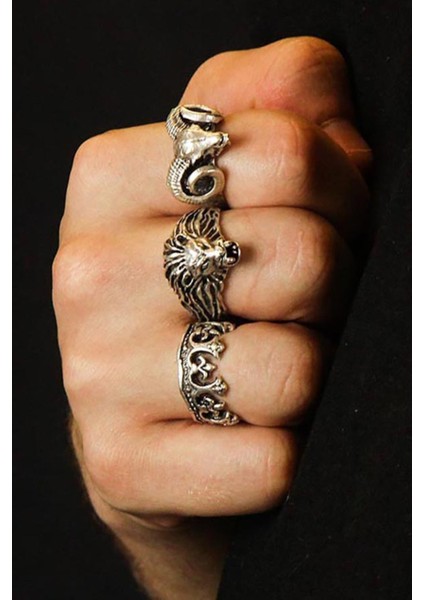 3 Adet 925 Ayar Gümüş Kaplama Ayarlanabilir Tarz Erkek Kadın Yüzük Seti Taç Koç Aslan fırsatları