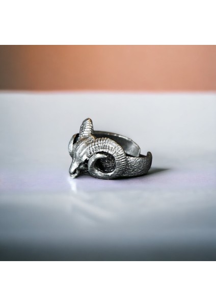 3 Adet 925 Ayar Gümüş Kaplama Ayarlanabilir Tarz Erkek Kadın Yüzük Seti Taç Koç Aslan