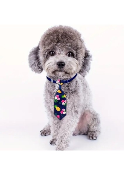 Ayarlanabilir Kedi ve Köpek Kravatı, Pembeli Karpuz Desenli indirimleri