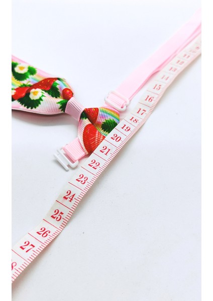 Ayarlanabilir Kedi ve Köpek Kravatı, Pembeli Karpuz Desenli