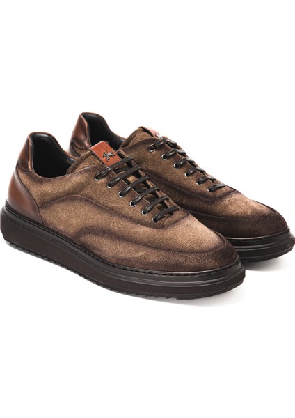 Erkek Oxford ( Klasik) 0325003.3355CH47 Franceschetti Raın Tabacco modelleri