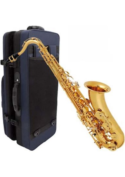 Buffet Crampon 100 Seri Alto Saksafon BC8101-1-0 fiyatları