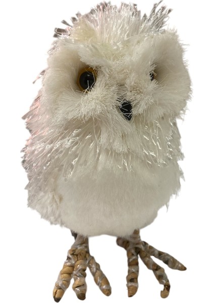 Dekoratif Baykuş fiyatları