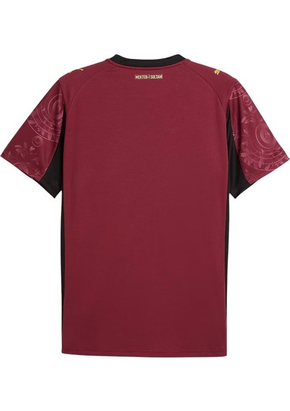 Galatasaray 25/26 Reklamsız Erkek Alternatif Forması fiyatları