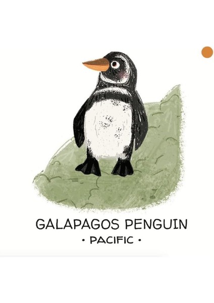 Animals To Save - Seas And Oceans fiyatları