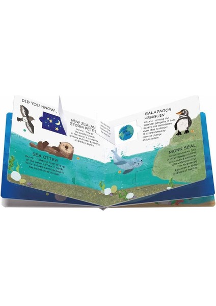 Animals To Save - Seas And Oceans modelleri