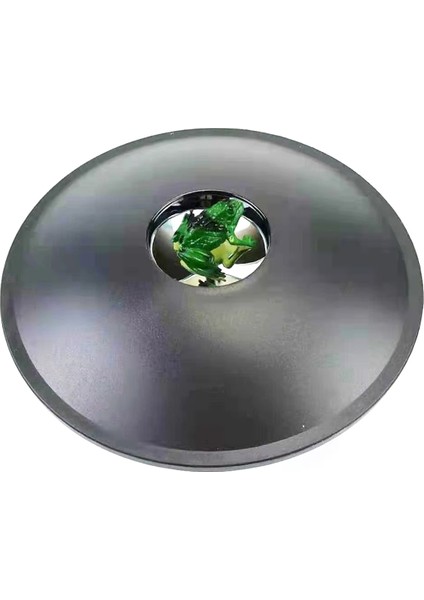 3D Optik Ayna Illüzyon Kutusu Hayvan Figürin Optik Projeksiyon Görsel Lilüzyon Görüntü Yapıcısı Çocuk Eğitimi Için (Yurt Dışından)