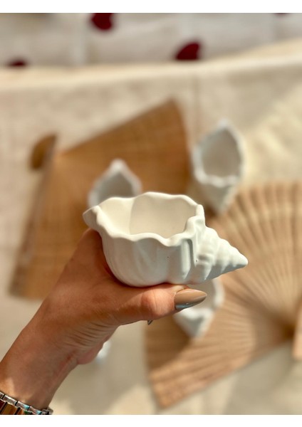 Deniz Kabuğu Dekoratif Mumluk, Takı Tabağı fiyatları