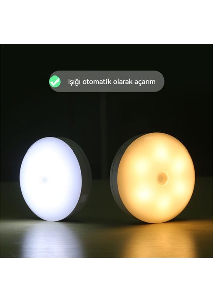 Akıllı Sensörlü Işık, Hareketle Kapanan Işık, Koridor, Dolap ve Yatak Odası (Yurt Dışından) modelleri