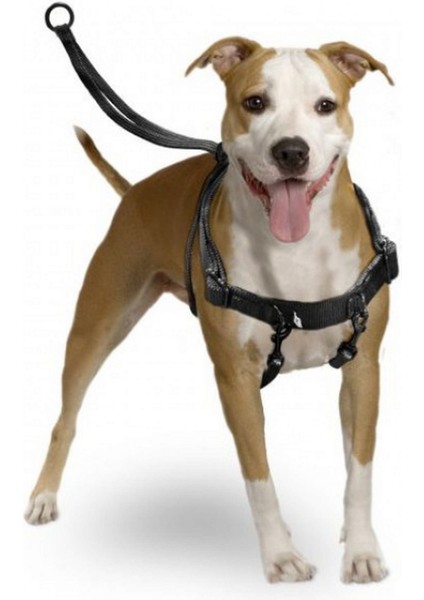 Techmrt Karlıe Easy Walker Göğüs Tasma 31*39 cm Medium