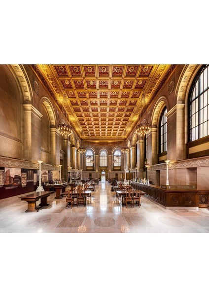 Tarihi Kütüphane Desenli Isı ve Ses Yalıtımlı Sağlıklı Tekstil Duvar Kağıdı modelleri