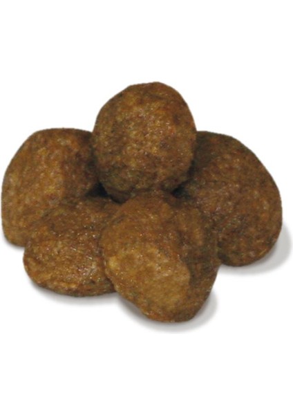 Adult Sensible Indoor Tavuklu Yetişkin Kedi Maması 10kg fiyatları