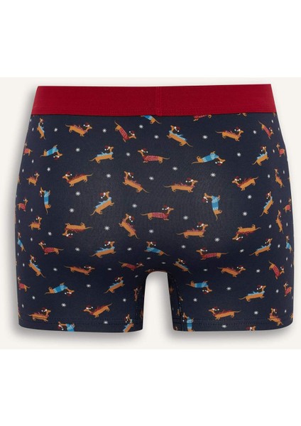 Yılbaşı Temalı Regular Fit Boxer F9914AX25WN fiyatları
