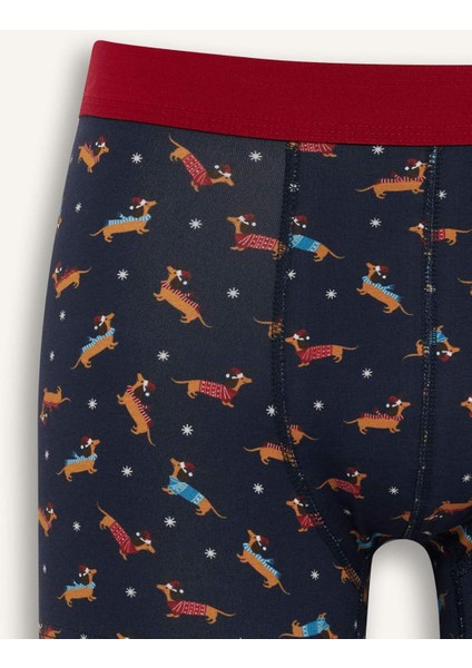 Yılbaşı Temalı Regular Fit Boxer F9914AX25WN modelleri